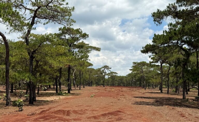 Curley-Led FLC Golf Club Pleiku Development Breaks Ground in Vietnam’s Central Highlands